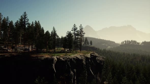 Evergreen Fir Tree and Mountains on a Background on a Sunset After the Rain