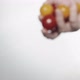 Person Throws Red and Yellow Cherry Tomatoes Into Water - VideoHive Item for Sale