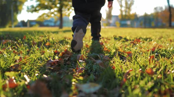 Child Running in the Yellow Leaves