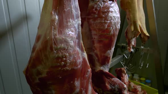 Carcasses of Raw Beef Meat Hanging on Hooks