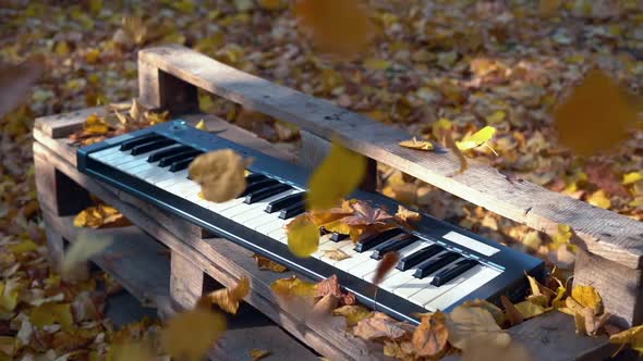 Synthesizer Lies in the Forest on the Yellow Leaves