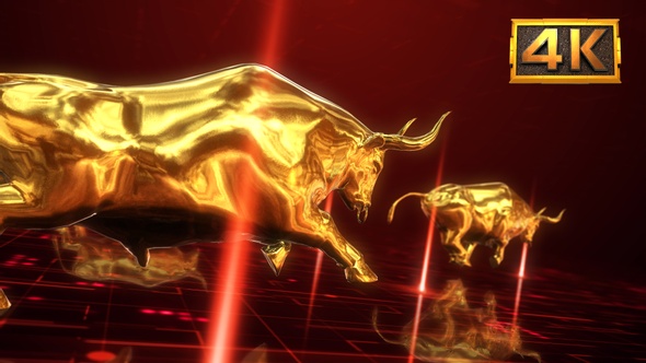 4K Golden Bull Run