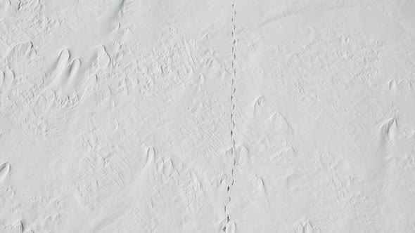 A Man Is Walking Along a Snow Field. Loneliness. View From Above