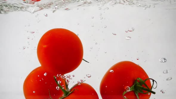 Four Red Tomatoes with a Sprig of Fall with a Splash Into Water on White Background