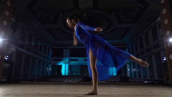 Group Young Skillful Ballerinas Dancing Modern Ballet on the Stage of Large Hall