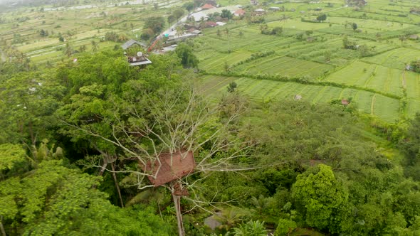 Aerial View of Lookout Hut on the Top of Tropical Tree