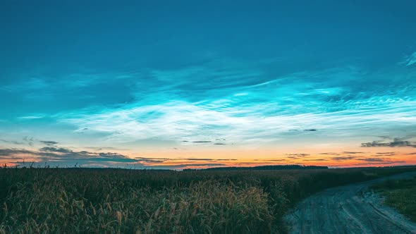 Noctilucent Clouds Above Rural Wheat Field In Summer