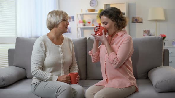 Elderly Woman and Daughter Talking, Looking Camera Holding Cups of Tea, Family