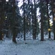 Snow Forest Winter - VideoHive Item for Sale