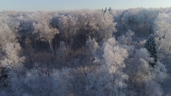 Winter Landscape in Countryside