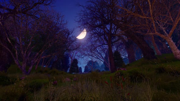 moon over trees HD