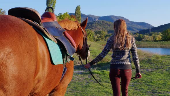 Girl Leads Chestnut Harnessed Horse to River