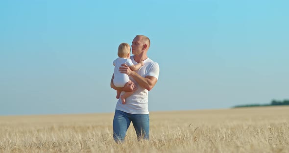 Caring Father Carries a Baby Daughter in His Arms a Daddy's Walk with a Baby in a Wheat Field