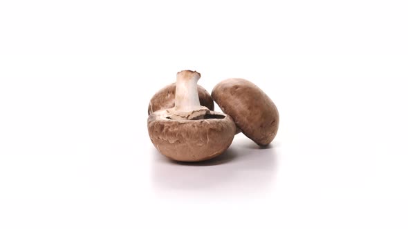 Three Champignon Mushrooms Spinning on White Background