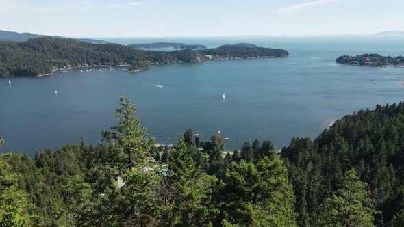 Hiker resting by a tree looking out at the view from Soames Hill over the ocean and Howe Sound in Gi