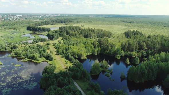 Flight Over the Taiga Forest Lake