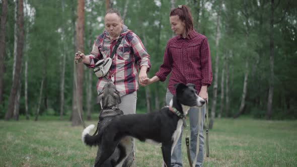 Wide Shot of Happy Man Admiring Dogs and Kissing Woman in Summer Park or Forest. Portrait of Loving