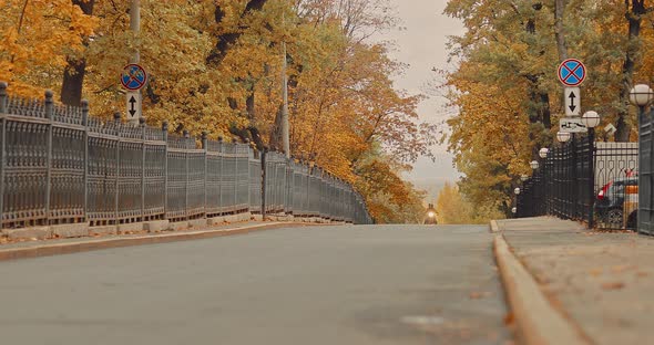 Biker Leaves the Road in the Fall