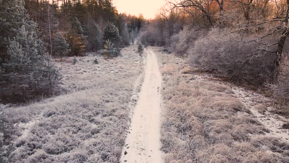 The Field Road Trees Aerial View are Beautifully Covered with Frost