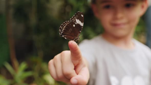 A Little Boy Watching a Beautiful Butterfly on His Finger