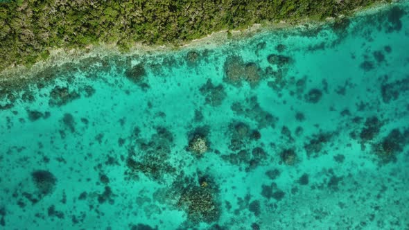 Looking straight down through the Crystal clear water to coral in Oro's Bay then revealing the coast