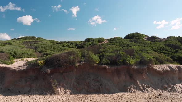 AERIAL Over Green Vegetation On Sand Dunes At Secluded Beach