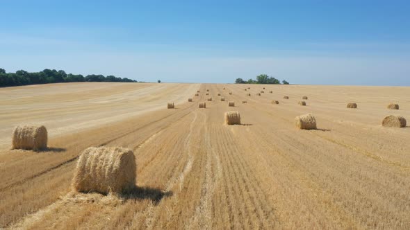 Round Hay Bales At The Field 10