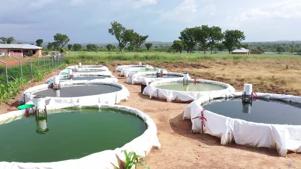 Side view of fish pond