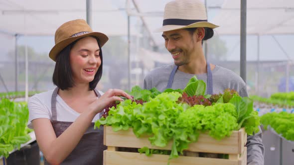 Two Asian business couple farmers work in vegetables hydroponic greenhouse farm with happiness.