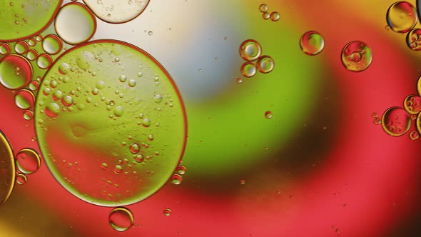 Abstract Colorful Food Oil Drops Bubbles 181 alt
