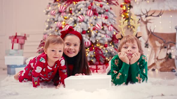 Video Portrait of Two Cute Little Children Eating Christmas Sweets