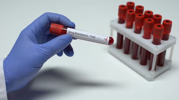Positive Drug Resistance Test, Doctor Showing Blood Sample in Tube, Lab Research