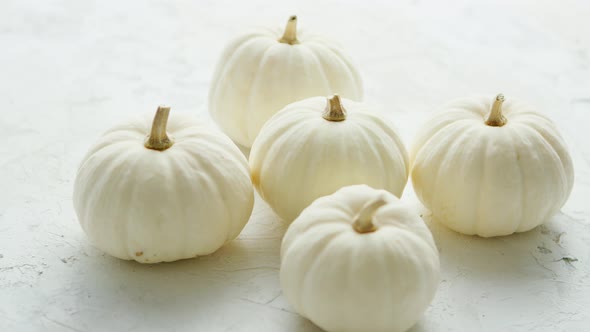 White Small Pumpkins on the Table