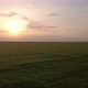 Barley Field And Sunset - VideoHive Item for Sale