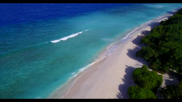 Aerial top down travel of tranquil lagoon beach wildlife by blue green sea and clean sand background