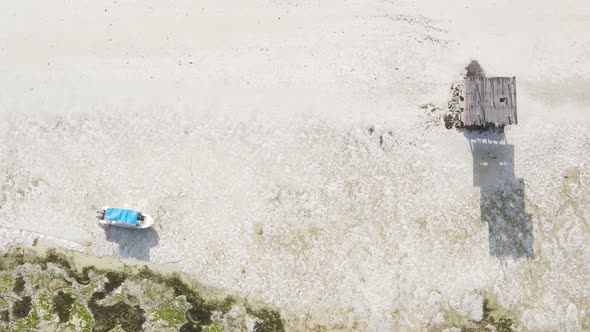 Zanzibar Tanzania  Vertical Video of Low Tide in the Ocean Near the Coast Slow Motion