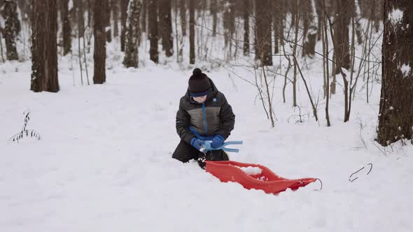 Caucasian Boy Sits on Knees and Makes Snowballs with Snowball Maker in Forest