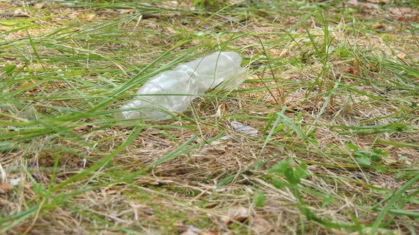 A Used Plastic Bottle Is Thrown in the Park. The Concept of Pollution and Environmental Protection.