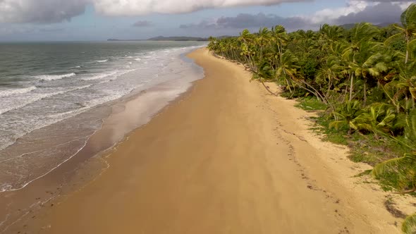 Mission Beach in Queensland aerial with palm trees, waves and golden sand, Australia