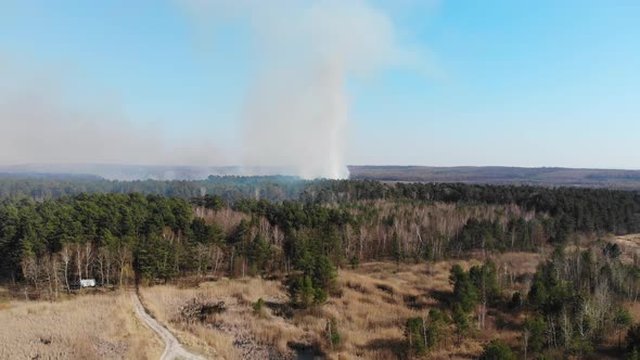 Aerial Large-scale Forest Fire. A Large Area of Forest Is Burning. Fire in the Pine Forest View From