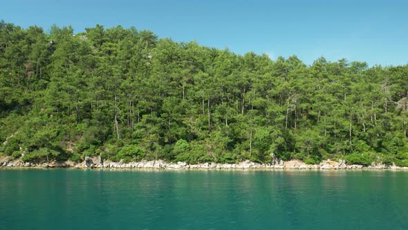 Sailing Past Green Forest Coast