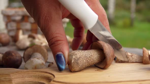 Closeup of Female Hands Cutting Freshly Picked Mushrooms on a Wooden Board