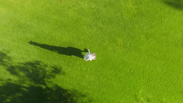 Aerial Topdown Drone Footage Long Female Shadow From Golden Sunlight