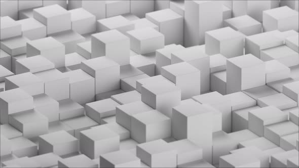 White Cubes Animation