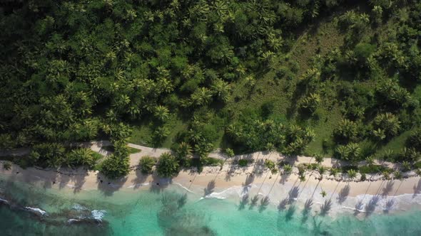 4k 30fps A Sunny Day In The Caribbean Beach With Palmstree And The Waves 1