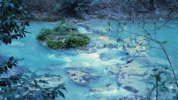 Blue river behind trees