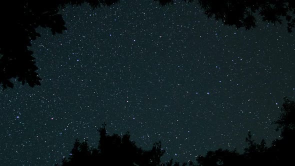 Starry Sky Through Frame Of Tree Branches