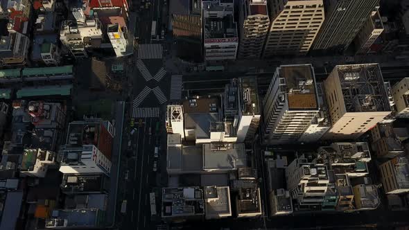 Static Aerial Reveal of the Tokyo Suburbs and Skyline