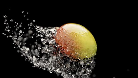 Slow Motion Fluid Splash Mango