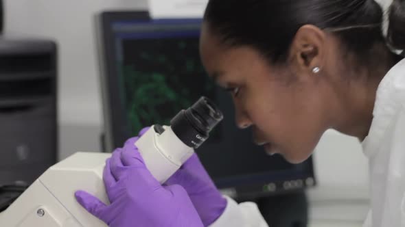 Scientist looking through microscope and check results on screen